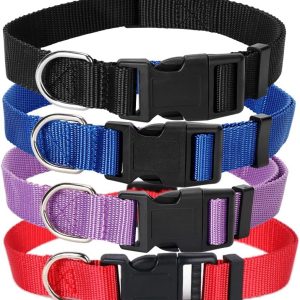 4 Pack Nylon Dog Collars, Classic Adjustable Pet Dog Collar for Small, Medium and Large Dogs, M(Black, Blue, Red, Purple)