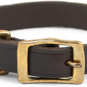 Flat Leather Dog Collar - Genuine Leather with Brass Hardware, Adjustable, Durable, Comfortable Fit for Small to Large Dogs, Training & Walking Collar, Chestnut Color, 3/4" x 13"