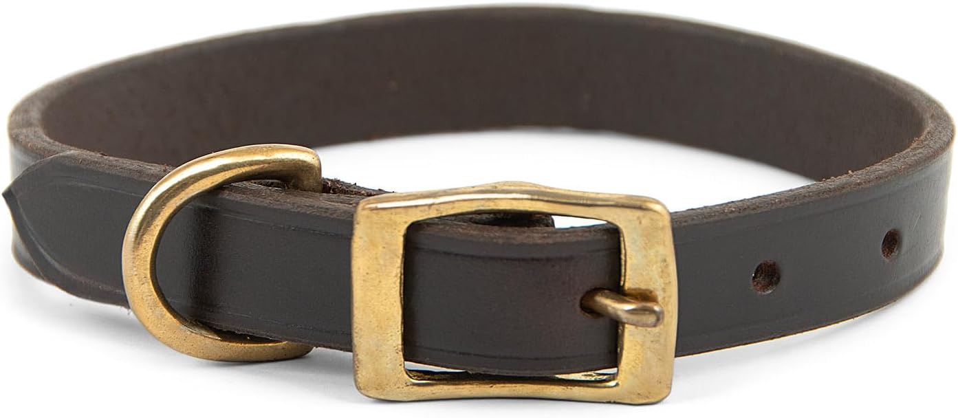 Flat Leather Dog Collar - Genuine Leather with Brass Hardware, Adjustable, Durable, Comfortable Fit for Small to Large Dogs, Training & Walking Collar, Chestnut Color, 3/4" x 13"