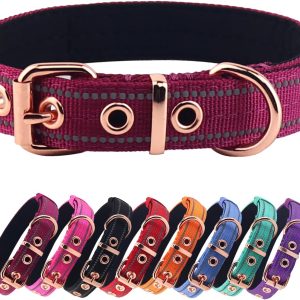 Neoprene Padded Dog Collar, Nylon Collar for Small to Large Dogs, Heavy Duty with Metal Buckle, Reflective(Medium, Wine red)
