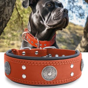 Leather Dog Collar, 2 inches Wide Heavy Duty Genuine Leather Collars, Handmade, Soft, and Luxury, Eye-catching Best Choice for Large and Medium Breed Dogs, Orange 18.5-22.5 in
