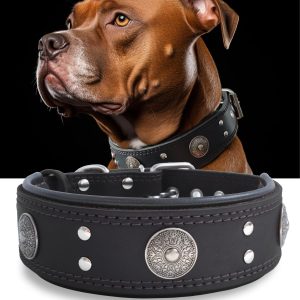 Leather Dog Collar, 2 inches Wide Heavy Duty Genuine Leather Collars, Handmade, Soft, and Luxury, Eye-catching Best Choice for Large and Medium Breed Dogs, Black 18.5-22.5 inches