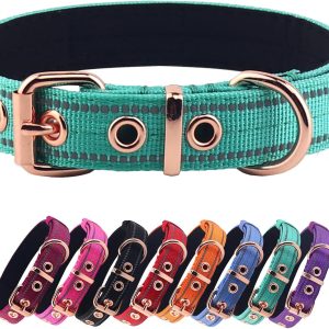 Neoprene Padded Dog Collar, Nylon Collar for Small to Large Dogs, Heavy Duty with Metal Buckle, Reflective(Medium, Teal)