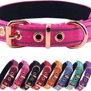 Neoprene Padded Dog Collar, Nylon Collar for Small to Large Dogs, Heavy Duty with Metal Buckle, Reflective(Medium, Pink)