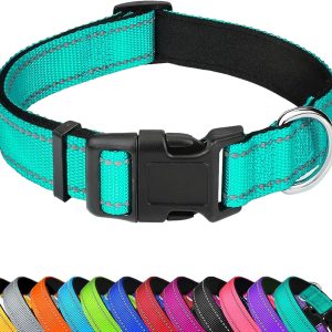 Reflective Dog Collar, Adjustable Soft Neoprene Padded Nylon Pet Collars with Buckle for Medium Dogs, Teal,M
